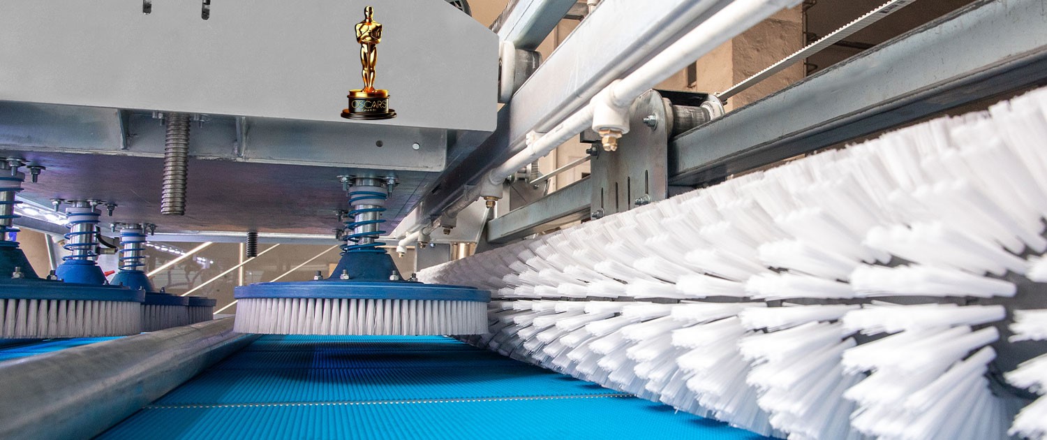 Profesyonel Halı & Perde Yıkama